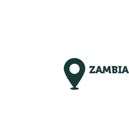 Zambia