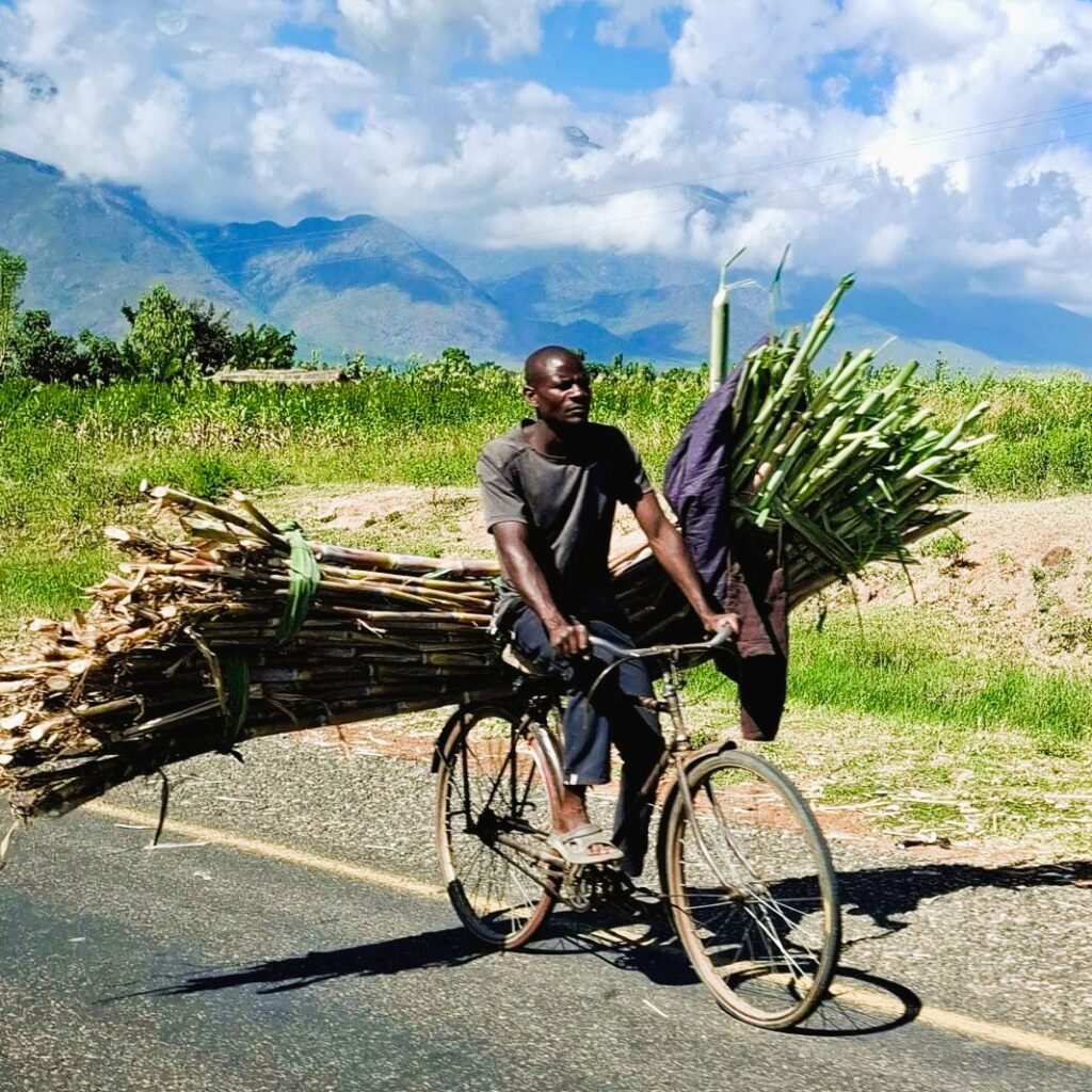 Man on bike farmer Malawi